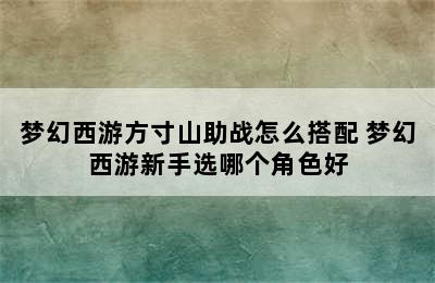 梦幻西游方寸山助战怎么搭配 梦幻西游新手选哪个角色好